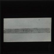 Böhl glass slide 41./2364